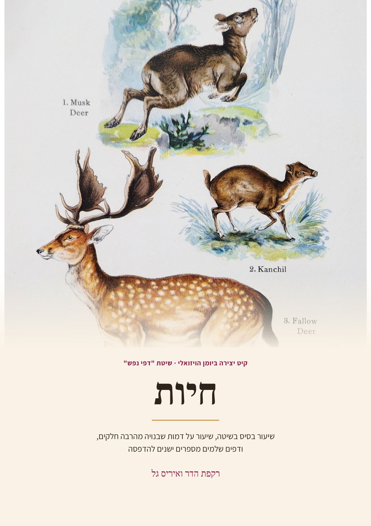 חוברת היצירה חיות