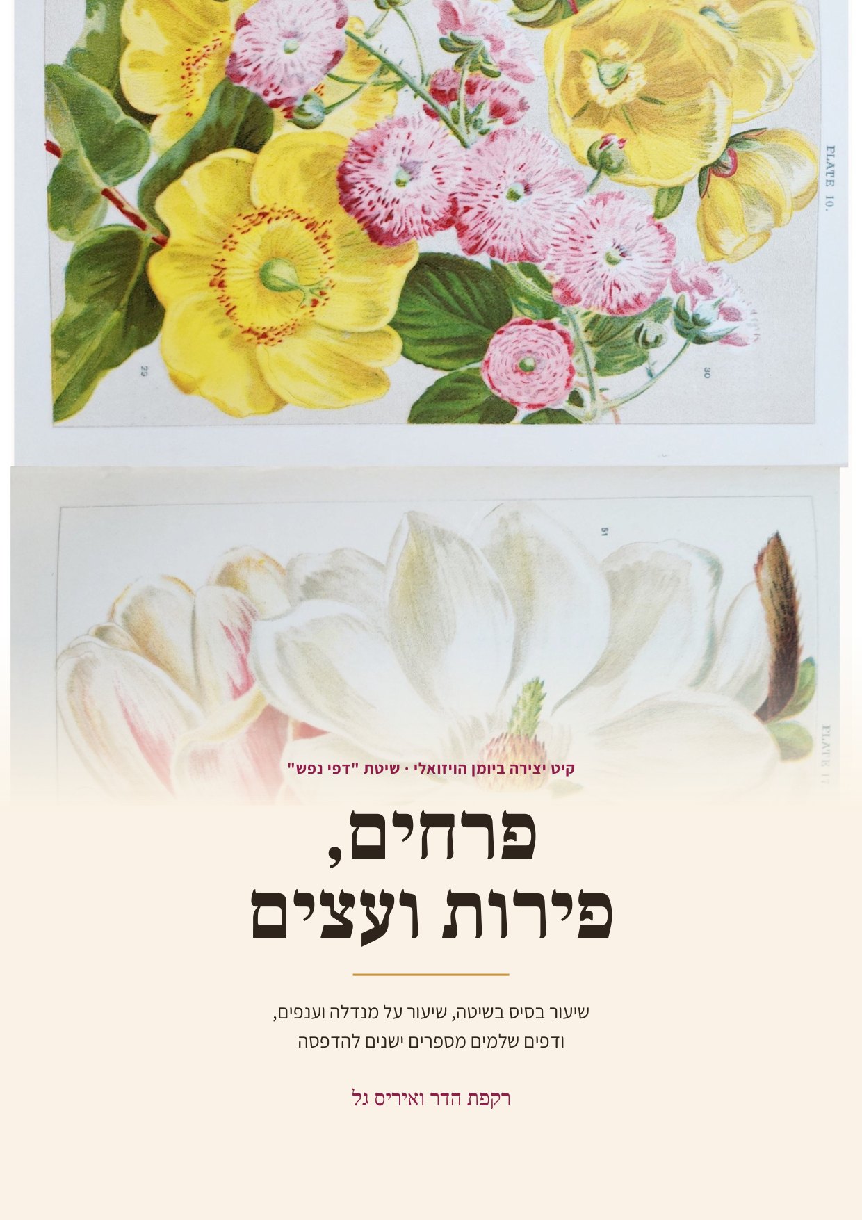 חוברת היצירה פרחים, פירות ועצים